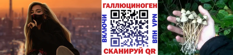 Псилоцибиновые грибы мицелий  Купить  Чаплыгин 